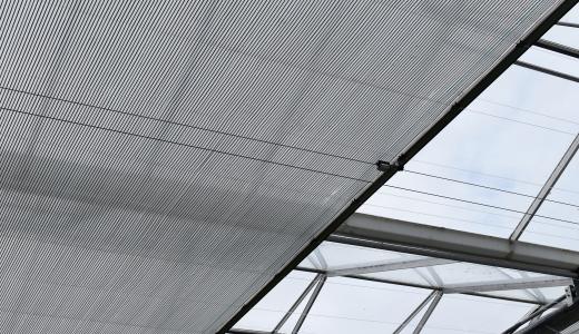 PhormiTex 44 - Weber Stekcultures