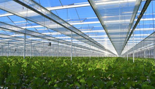 IFG Cresco / Phormium zoekt Allround Customer Service Representative