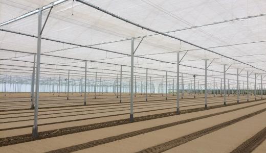 Clima+ 65 - Optimizing shade conditions in ‘Les Sables’